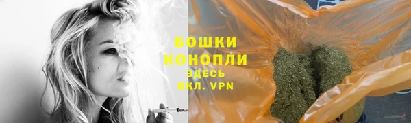 сатива Михайловск