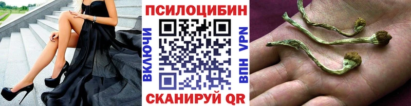 Галлюциногенные грибы Magic Shrooms  Купить  Городище 